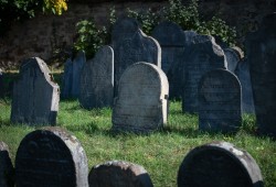 židovský hřbitov Heřmanův Městec_archiv DSVČ (11)