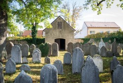 židovský hřbitov Heřmanův Městec_archiv DSVČ (22)