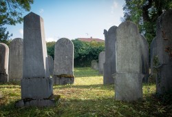 židovský hřbitov Heřmanův Městec_archiv DSVČ (23)