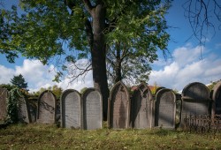 židovský hřbitov Heřmanův Městec_archiv DSVČ (3)