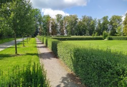 Hrad Rychmburk - park Panská zahrada