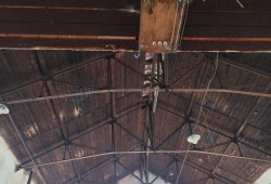 IMG_20250516_124931
