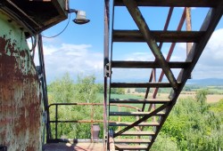 IMG_20250516_132346