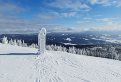 Kralický Sněžník slůně zima 2021 (Lukáš Zeman)