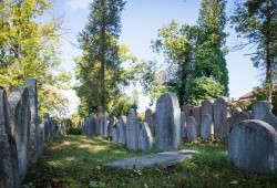 židovský hřbitov Heřmanův Městec_archiv DSVČ (21)